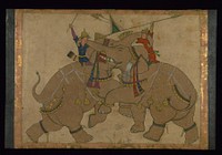 Single Leaf of Elephant Combat (13th century AH/AD 19th century (Mughal)) by Indian