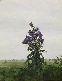 Campanula in front of a Landscape (1863) by Léon Bonvin