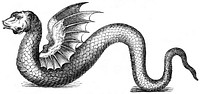 Illustration reengraved from Charles Owen's An Essay Towards a Natural History of Serpents (1741) in Once a Week magazine, volume 5, page 475.