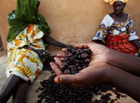 Shea Nuts - West Africa Trade Hub. Original public domain image from Flickr
