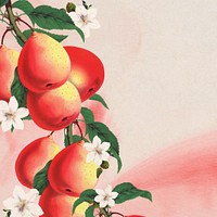 Pear and white flower border, vintage illustration