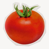 Fresh tomato, paper cut isolated design