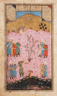 Flight of the Tortoise, Page from a Manuscript of the Haft Awrang (Seven Thrones) ("Tuhfat al-Ahrar" or "Gift of the Free")