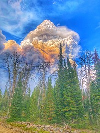 Weather Category - USFWS 2022 Photo/Video ContestA smoke plume, visible above the trees, continues to grow on the 2022 Moose Fire in Idaho. Photo by Phil Millette/USFWS