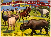 Wondrous Sumatra, African and South American wild beasts and birds, now for the first time shown. Poster for the Adam Forepaugh & Sells Brothers great shows combined (1896).