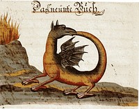 Immagine del manoscritto Zoroaster Clavis Artis, MS. Verginelli-Rota, Biblioteca dell'Accademia Nazionale dei Lincei, Roma, vol. 3, pag. 118