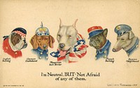 World War I poster featuring the dog breeds representing their respective native countries (friends and foes). The Henry Heininger Co. Pub. NY. Wallace Robinson - 1915.“I am Neutral. BUT Not afraid of any of them.”(USA speech)Dog breeds and countries:English Bulldog, England;German Dachshund, Germany;American [Pit] Bull Terrier (American Pit Bull Terrier), USA;French Bulldog, France;Russian Wolf-Hound (Borzoi), Russia.The American Pit Bull Terrier breed name was sometimes written as “American (Pit) Bull Terrier” as an attempt to exclude the word “Pit” gradually, but the idea was abandoned.