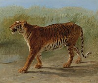 Rosa Bonheur - Tigre royal du marche