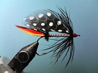 Classic Triumph Bass Fly tied by Jeremy Acre