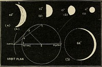 Identifier: elementsofastro00youn (find matches)Title: The elements of astronomy; a textbookYear: 1919 (1910s)Authors: Young, Charles A. (Charles Augustus), 1834-1908 Young, Anne Sewell, b. 1871., edSubjects: Astronomy ConstellationsPublisher: Boston, New York (etc.) Ginn and CompanyContributing Library: The Library of CongressDigitizing Sponsor: The Library of CongressView Book Page: Book ViewerAbout This Book: Catalog EntryView All Images: All Images From BookClick here to view book online to see this illustration in context in a browseable online version of this book.Text Appearing Before Image:period, ■ 584days, — a year and 7 months. From superior conjunction toelongation on either side is 220 days, while from inferior con-junction to elongation is only 71 or 72 days. The greatestelongation is 47° or 48°. The inclination of its orbit is about 3^-°. 322. Magnitude, Mass, Density, Etc. — The apparent diam-eter of the planet ranges from 67, at the time of inferior 322) TELESCOPIC APPEARANCE, ETC. 225 conjunction, to only 11 at superior, the great difference de-pending upon the enormous variation in the distance of theplanet from the earth. The real diameter of the planet inmiles is about 7700. Its surface, compared with that of theearth, is y9-^; its volume, -f^. By means of the perturbationsshe produces upon the earth, the mass of Venus is found to bea little less than four-fifths of the earths mass. Hence herdensity is about 86 per cent, and her superficial gravity 83 percent of the earths. A man who weighs 160 pounds herewould weigh only about 133 pounds on Venus.Text Appearing After Image:Fig. 80. — Telescopic Appearances of Venus. 323. General Telescopic Appearance, Phases, Etc. — The tele-scopic appearance of Venus is striking on account of her greatbrilliance, but exceedingly unsatisfactory because nothing isdistinctly outlined upon the disc. When about midway be-tween greatest elongation and inferior conjunction the planetnas an apparent diameter of 40, so that with a magnifying 226 VENUS. § 323) power of only 45 she looks exactly like the moon four daysold, and of the same apparent size. (Very few persons, how-ever, would think so on the first view through the .telescope :the novice always underrates the apparent size of a telescopicobject.) The phases of Venus were first discovered by Galileo in 1610, andafforded important evidence as to the truth of the Copernican Systemas against the Ptolemaic. Fig. 80 represents the planets disc as seen at five points in itsorbit. 1, 3, and 5 are taken at superior conjunction, greatest elonga-tion, and near inferior conjuNote About ImagesPlease note that these images are extracted from scanned page images that may have been digitally enhanced for readability - coloration and appearance of these illustrations may not perfectly resemble the original work.