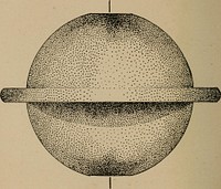 Identifier: watersabovefirma00vail (find matches)Title: The waters above the firmament, or The earth's annular systemYear: 1902 (1900s)Authors: Vail, Isaac Newton, 1840-1912Subjects:Publisher: Philadelphia, Ferris and LeachContributing Library: The Library of CongressDigitizing Sponsor: The Library of CongressView Book Page: Book ViewerAbout This Book: Catalog EntryView All Images: All Images From BookClick here to view book online to see this illustration in context in a browseable online version of this book.Text Appearing Before Image:uring intervals of immeasurabletime, receives here an emphatic avowal. Thus by following the path pointed out, by the unerr-ing voice of law, we may look upon those giant worlds,and read a history of the mighty changes that made ourworld what it is to-day. For unknown ages rings andbelts attended the earth. One by one they declinedand reached its surface around the poles. Grand stu-pendous arches spread over the face of the firmamentwhea no man was here to see; when the wild denizenof a wild world alone roamed its boundless wastes,thoughtless of impending calamity. When we gazeupon the fearful and terrifying elements, when cloudmeets cloud, and deep frowns on deep in the battlefieldsof nature, what puny things we are in the wondrousarena! But suppose we dwelt to-day on a ringedworld, and could see all these features and conditions athousand times intensified! We would stand appalledat the fearful grandeur and majesty of world-making. We must look at our earth in its spasms and eternalText Appearing After Image:Fig. 2. EARTH COOLED FROM A MOLTEX STATE. (its KIXG system rOEMED.) After the lapse of immeasurable time, the earth had cooleddoAvn, forming a firm foundation for subsequent deposits. Thegreat mass of expelled vapors had condensed. Some of thesehad returned to the earths surface, forming the first ocean,—a world expanse of waters,— and a world casement of sediment-ary beds. In that ocean the first forms of life appeared. Highover the equator, as if anchored to the skies, a vast ring systemliad formed from the higher and lighter elements, which gravi-tated each to its proper place in the system, according to its spe-cific gravity. Fig. 2 represents this ringed world, Avith its ringsturned edgewise to the observer, and the planet covered with auniversal ocean, that ocean teeming with rudimental life, and thesun shining on the earth much as it does to-day. Some General Considerations, 45 revolutions if we would embrace half the meaning ofannular work in by-gone ages. While rivers floNote About ImagesPlease note that these images are extracted from scanned page images that may have been digitally enhanced for readability - coloration and appearance of these illustrations may not perfectly resemble the original work.