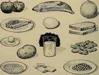 "Each of the portions of food shown in the picture will give the body about the same amount of energy. They include: an ordinary serving of beans, 3 lumps of sugar, 1 large banana, 11 double peanuts, 1 large egg, 1 potato, 1 chop, 2 slices of bread, 1 orange, 2 apples, 2/3 of a glass of milk, 1 pat of butter, and an average serving of oatmeal."Identifier: healthylivin01wins (find matches)Title: Healthy livingYear: 1917 (1910s)Authors: Winslow, C.-E. A. (Charles-Edward Amory), 1877-1957Subjects: HealthPublisher: New York and Chicago, Charles E. Merrill companyContributing Library: Columbia University LibrariesDigitizing Sponsor: Open Knowledge CommonsView Book Page: Book ViewerAbout This Book: Catalog EntryView All Images: All Images From BookClick here to view book online to see this illustration in context in a browseable online version of this book.Text Appearing Before Image:Without food, a person soon becomes weak andsick and would finally die. Children need food, not only to keep the body goingfrom day to day, but to make it grow. All the growththat the body makes, as a child becomes a man orwoman, is built up out of the food. Do you remember that the first thing RobinsonCrusoe did was to swim out to the wreck and get somebiscuits to eat and some bread and rice and cheese?Do you remember how he shot goats and gatheredgrapes and caught turtles to eat, and how glad he waswhen the barley he had planted came up so that hecould make some bread? He knew that he could notkeep alive on the desert island unless he provided foodfor himself. The body gets a great deal of energy when we eat 82 HEALTHY LIVING certain kinds of food, while from others it can get veryHttle. You would have to eat several whole tomatoes,for instance, before you could get as much energy asone lump of sugar would supply. The men and womenwho study foods and the food needs of the body haveText Appearing After Image:Fig. 34.—Each of the portions of food shown in the picture will givethe body about the same amount of energy. They include: anordinary serving of beans, 3 lumps of sugar, i large banana,II double peanuts, i large egg, i potato, i chop, 2 slices of bread,I orange, 2 apples, ^j^^ of a glass of milk, i pat of butter, andan average serving of oatmeal. a way of measuring the amount of energy supplied bydifferent kinds of foods. They have arranged all thecommon foods in classes, according to the amount ofenergy they will supply. FUEL FOR THE BODY 83 The Importance of Different Kinds of Foods.—In or-der to be well and strong, it is not enough to have a cer-tain total amount of food energy. We must have alsoa proper variety of foods. The body needs certainspecial things which we can get from some foods andNote About ImagesPlease note that these images are extracted from scanned page images that may have been digitally enhanced for readability - coloration and appearance of these illustrations may not perfectly resemble the original work.