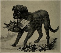 Identifier: dogsofallnations00mill (find matches)Title: Dogs of all nations. In prose and rhymeYear: 1903 (1900s)Authors: Miller, Conrad Jenness, 1842-Subjects: Dogs DogsPublisher: New York, J.S. Ogilvie Publishing CompanyContributing Library: The Library of CongressDigitizing Sponsor: The Library of CongressView Book Page: Book ViewerAbout This Book: Catalog EntryView All Images: All Images From BookClick here to view book online to see this illustration in context in a browseable online version of this book.Text Appearing Before Image:dog would becharmed with him. Wampys new home was situated near a email river,and noticing a long board about two feet wide lyingnear the bank, he thought to himself that it couldgive him a little amusement if a number of dogswere coaxed on, and he would push it out from the bankinto the stream and then turn it over and spill them intothe water. So he mentioned to some of the dogs thatit would be very nice to get on the board and have asail. By a great deal of coaxing and persuasion, hegot a number of dogs to get on and then pushed the boatout and presently it was in the middle of the river glid-ing down the stream. When the dogs thought they werehaving a beautiful time, Wampy got on one side of the 234 DOGS OF ALL NATIONS board and pretended he was falling overboard and turnedit completely over, throwing every dog into the water.They all started for the shore paddling for life, until theyreached land, all believing it was an accident. OnlyWampy knew how it happened and he didnt tell.Text Appearing After Image:C. OLEANDER, THE FLOWEK DOG. Close by the Palais Royal and near the Champs Elysees,Wandered the flower sellers Oleander and Therese. In one of the suburbs of Paris lived a family consist-ing of father, mother and a little girl named Theresa.Yfhen Theresa was eleven years old, the father died. As IN PROSE AND RHYME. 235 they had little money, and the mother was sick a greatdeal of the time, it was a problem with them, whatto do when the money they had was gone. A few daysafter her fathers death, Theresa and her mother weretalking about their almost helpless condition, and whatto do to make their living. They had a pretty place, agarden with many flowers. They all took pleasure incultivating flowers. Tlhe little girls mind was full ofthoughts of one kind and another. She wished she hada brother to look out for them, or wished they were richlike some of their neighbors, so they wouldnt have totrouble themselves as to where the money was to comefrom to buy things with: Then all at once, tNote About ImagesPlease note that these images are extracted from scanned page images that may have been digitally enhanced for readability - coloration and appearance of these illustrations may not perfectly resemble the original work.