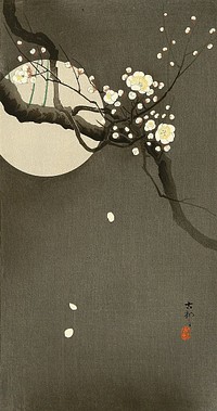 Ohara plum before moon