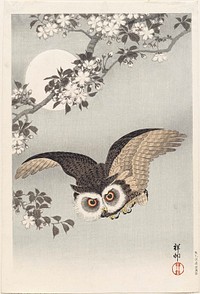 Scops Owl, Cherry Blossoms, and Moon, woodblock print, ink and color on paper