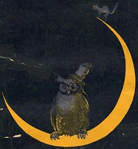 "The Alcoholic Blues" sheet music coverArtwork shows crescent moon on which sits an owl with a battered top hat, and on one corner of which is a cat with arching back.Lyrics of song refer to longing for alcoholic beverages now that national prohibition has come.