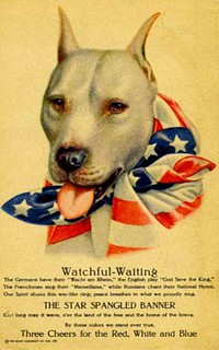 “Watchful-Waiting”. WW1 poster featuring a pit bull (American [Pit] Bull Terrier dog) as representation of the U.S. Related to the “I am Neutral. BUT Not afraid of any of them” poster.TEXT AFTER IMAGE:“Watchful-WaitingThe Germans have their "Wacht am Rhein," the English play "God Save the King," The Frenchmen sing their "Marseitllaise," while Russians chant their National Hymn. Our Spirit shuns this war-like ring: peace breathes in what we proudly sing.THE STAR SPANGLED BANNERGive long may it wave, o'er the land of the free and the home of the brave. By these colors we stand true.Three Cheers for the Red, White and Blue”