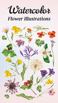 Watercolor flower illustration remix set