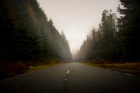 Free foggy road landscape image, public domain nature CC0 photo.
