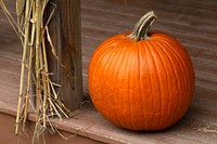 Free pumpkin image, public domain food CC0 photo.