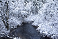 Free winter snow trees photo, public domain winter CC0 image.