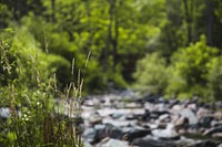 Free grass, waterfall rock photo, public domain nature CC0 image.