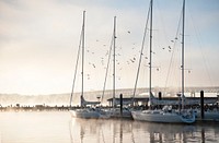 Sailing boats at dock, foggy view. Original public domain image from Flickr