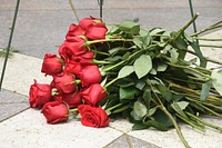 Red roses on the ground at the ICE Valor Memorial and Wreath Laying Ceremony.  Official DHS photo. Original public domain image from Flickr