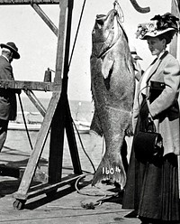 A lady was standing by a very big fish, Newport, OR c1912Siuslaw National Forest Historic Photo. Original public domain image from Flickr