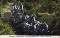 Tillamook Stage on Trask Mountain Route, OR Siuslaw National Forest Historic Photo. Original public domain image from Flickr