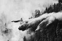 B-17 Air Tanker Makes Drop, Wenatchee NF, WA 1970 Okanogan-Wenatchee National Forest Historic Photo. Original public domain image from Flickr