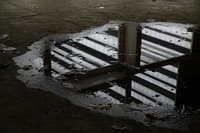 Puddle reflection. Free public domain CC0 photo.