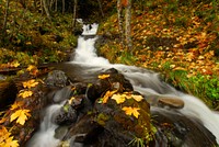 small waterfall clackamas river, Mt. Hood National Forest. Original public domain image from Flickr