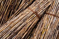 Harvested rattan, agricultural background. Free public domain CC0 photo.