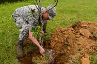 U.S. Air Force Tech. Sgt. Danny McNeil, a barrier maintainer assigned to the 169th Civil Engineer Squadron, plants a tree at the Pond Site at McEntire Joint National Guard Base, S.C., April 22, 2016. Civilians and Airmen from the 169th Civil Engineer Squadron came together to plant three trees in celebration of Earth Day. (U.S. Air National Guard photo by Airman 1st Class Megan Floyd). Original public domain image from Flickr