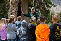 Conservation Days, 4th Graders. Manti-La Sal National Forest. Credit: US Forest Service. Original public domain image from Flickr