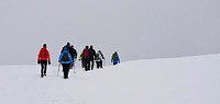 Mt. Hood Meadows on the Mt. Hood National Forest. Original public domain image from Flickr