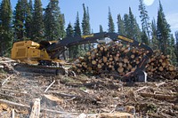 The Mine and Mine 1 timber sales are located just north of Electric Lake along HWY 31 to the top of Huntington Canyon on the Manti-La Sal National Forest in Utah. Credit: US Forest Service. Original public domain image from Flickr