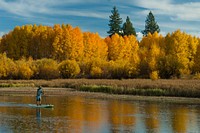 Deschutes National Forest Recreation paddle boarder. Original public domain image from Flickr