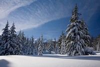 Deschutes National Forest Mt. Bachelor winter. Original public domain image from Flickr