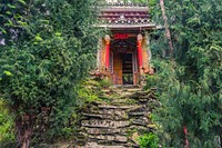 Temple entrance covered with tree. Free public domain CC0 photo.