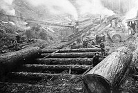 Early logging. Original public domain image from Flickr
