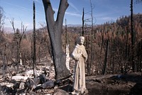 295 SanBernardino National Forest.Old Fire. Original public domain image from Flickr