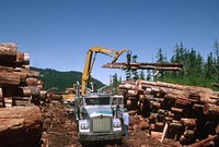 Mt Hood National Forest, timber harvest operations. Original public domain image from Flickr