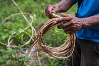 Worker and rattan agriculture life. Free public domain CC0 photo.