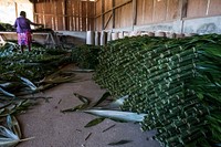 Worker sorting Xate leaves. Free public domain CC0 photo.