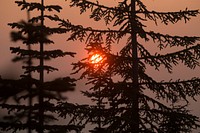 Umpqua NF Fires, 2017, Oregon: Rattlesnake Fire. Original public domain image from Flickr