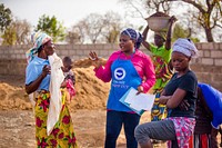 USAID in Ghana: Shea Butter Processing. USAID and the Global Shea Alliance partner to connect West Africa village women to the global marketplace. Original public domain image from Flickr