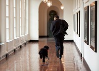 “The Obama family was introduced to a prospective family dog at a secret greet on a Sunday. After spending about an hour with him, the family decided he was the one. Here, the dog ran alongside the President in an East Wing hallway. The dog returned to his trainer while the Obama’s embarked on their first international trip. I had to keep these photos secret until a few weeks later, when the dog was brought ‘home’ to the White House and introduced to the world as Bo.”