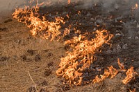 Firefighters conducting burnout operation, Cougar Creek Fire, Okanogan-Wenatchee NF, WA, 2018 (Photo by Kari Greer). Original public domain image from Flickr